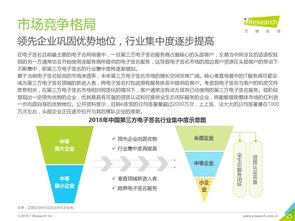 探索互聯網數據中心 199it與互聯網數據服務的價值與前景
