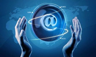 黑蜘蛛 數據賦能，引領傳統企業掘金跨境電商新藍海